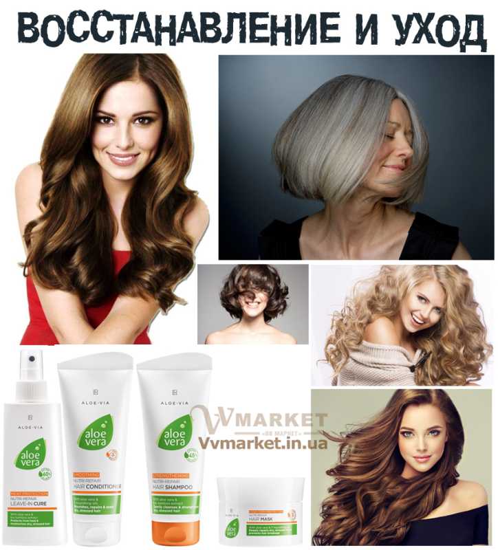 Купить Алоэ Вера Набор для восстанавления и ухода за волосами (Aloe Vera Nutri-Repair Hair Care set), LR с доставкой Киев, Авдеевка, Акимовка, Березино, Березовка, Берислав, Бершадь, Близнюки, Бобринец, Богодухов,   Богуслав, Комсомольск, Конотоп, Константиновка, Кореиз, Корец, Короп, Коростышев, Корсунь-Шевченковский, Корюковка, Косов, Костополь, Болехов, Коломыя, Котельва, Котовск, Краматорск, Красилов, Красноармейск, Красноград,   Краснодон, Александровка, Алупка, Алушта, Болград, Компанеевка, Алчевск, Александровка, Бережаны, Амвросиевка, Антрацит, Апостолово, Арбузинка, Армянск,  Артемовск, Дубно, Дубровица, Дунаевцы, Евпатория, Еланец,   Емильчино, Енакиево, Жашков, Терновка, Сумы, Приазовское, Тернополь, Хмельник, Желтые Воды, Жидачев,  Белая   Церковь, Белгород-Днестровский, Беловодск, Белогорск,Белозерка, Белополье, Беляевка, Бердичев, Бердянск,   Берегово,  Торез, Троицкое, Тростянец, Трускавец, Тульчин, Александрия, Березанка, Турийск, Ульяновка, Харьков, Херсон, Коростень, Хмельницкий, Хорол,   Хотин, Христиновка, Хуст, Харичанка,  Борзна, Борислав, Борисполь, Боровая, Бородянка, Тячев, Ужгород, Борщев, Боярка, Бровары, Броды, Брусилов, Брянка, Бузуков, Бурштын, Бурынь, Буск, Бучач, Белогорье, Валки, Варва, Васильевка, Васильков, Васильковка, Великая Белозерка, Великая Новоселка, Верхнеднепровск, Верхов, Бобровица, Верховина, Турка, Украинка, Веселиново, Веселое, Умань, Феодосия, Вижница, Винница, Фрунзовка, Харцызск, Виноградов, Виньковцы,   Вишневое, Житомир, Жмеринка, Жолква, Арциз, Ахтырка, Балаклея, Балта, Бар, Барановка, Барвенково, Барышевка, Бахмач, Бахчисарай, Баштанка, Владимир-Волынский, Владимирец, Вознесенск, Волноваха, Воловец, Володарка, Володарское, Волочиск, Волчанск,  Киверцы, Килия, Кировоград, Кировск, Кировское, Кицмань,  Устиновка, Фастов, Кобеляки, Ковель, Кодыма, Козелец, Козельщина, Козова, Козятин, Коломак, Краснокутск, Красноперекопск, Краснополье, Красные Окны, Красный Лиман, Красный Луч, Кременчуг, Кривой Рог, Куйбышево, Днепропетровск, Днепрорудное, Доброполье, Добрянка, Докучаевск,   Долина, Долинская, Доманевка, Донецк, Драбов, Дрогобыч, Дружковка,  Залещики, Запорожье,Монастыриска, Монастырище, Моршин, Мостиска, Мукачево, Мурованые Куриловцы, Народичи,   Недригайлов, Нежин, Немиров, Нетишин, Нижние Серогозы, Николаев, Никополь, Новая Каховка, Новая Одесса, Новая Ушица, Згуровка, Здолбунов, Зеньков, Змиев, Знаменка, Золотоноша, Золочев, Ивано-Франковск, Ивановка, Иванычи, Измаил, Изюм, Изяслав, Илларионово, Ильинцы, Ильичевск, Ирпень, Иршава, Ичня, Кагарлык, Казанка, Казатин, Каланчак, Калиновка, Калуш,  Вольногорск, Вольнянск, Врадиевка, Высокополье, Вышгород, Гадяч, Гайворон, Гайсин, Галич, Гаспра, Геническ, Герца,   Глеваха, Глобино, Глухов, Глыбокая, Голая Пристань, Голованевск, Горловка, Горностаевка, Городенка, Городище, Городня,   Городок, Горохов, Гоща, Гребенка, Гуляйполе, Гурзуф, Гусятин, Двуречная, Дебальцево, Демидовка, Деражня, Новоукраинка,   Новояворовск, Новые Санжары, Новый Буг, Носовка, Обухов, Овидиополь, Овруч, Одесса, Днепродзержинск,  Заречное,   Заставна, Дергачи,   Джанкой,  Кулиничи, Купянск, Ладыжин, Лисичанск, Лозовая, Лопатин, Лохвица, Лубны, Луганск, Луцк, Львов, Люботин,   Макеевка, Мангуш, Марганец, Мариуполь, Марьинка, Мелитополь, Мена, Мерефа, Миргород, Михайловка, Млинов, Могилев-  Подольский, Молодецкое, Дзержинск, Диканька,  Каменец-Подольский, Каменка, Каменка-Бугская, Каменка-  Днепровская, Камень-Каширский, Канев, Карловка, Катеринополь,   Новгород-Северский, Новгородка, Новоазовск, Новоайдар, Новоархангельск,    Ракитное, Ратнов, Рахов, Репки, Решетиловка, Ровеньки, Ровно, Рогатин, Рожище, Рожнятов, Розовка, Романов, Ромны,   Рубежное, Шумск, Южный, Яворов, Ружин, Саврань, Очаков, Павлоград, Садовое, Чутово, Шаргород, Саки, Самбор, Сарата, Сарны, Шишаки, Ямполь, Сахновщина, Свалява, Сватово, Свердловск, Светловодск,   Севастополь, Северодонецк, Щорс, Энергодар, Южноукраинск, Селидово, Семеновка, Семеновка, Середина-Буда, Симферополь, Синельниково, Чугуев, Шахтерск, Скадовск, Новоселица, Новотроицкое,  Зачепиловка, Збараж, Зборов, Шостка, Ялта, Звенигородка, Каховка, Кегичевка, Кельменцы, Керчь, Онуфриевка, Оратов, Орджоникидзе, Орехов, Оржица, Острог, Первомайск, Первомайский, Первомайское, Перевальск, Перемышляны, Перечин, Переяслав-Хмельницкий, Першотравенск, Першотравенск, Петрово, Петропавловка, Печенеги, Пирятин, Погребище, Подволочиск, Подгайцы, Полесское, Пологи, Полонное, Полтава, Попасная, Попельня, Приморск, Пустомыты, Путивль, Путила, Пятихатки, Радехов, Радомышль, Радывылив, Разде   Сквира, Сколе, Славута, Славутич, Славяносербск, Славянск, Нововолынск, Нововоронцовка, Шпола, Яготин, Новоград-Волынский, Новоднестровск, Новомиргород, Новомосковск, Новопсков, льная, Раздольное, Смела, Снежное, Снигиревка, Снятин, Сокаль, Сокиряны,   Соленое, Сосница, Сосновка, Софиевка, Ставище, Старая Выжевка, Старая Синява, Старобельск, Старобешево, Старое село,   Староконстантинов, Старый Самбор, Стаханов, Сторожинец, Стрый, Судак, Прилуки, Счастье, Талалаевка, Тальное, Тараща,   Тарутино, Татарбунары, Тельманово, Теофиполь, Теплик, Теребовля, Тетиев, Тлумач, Токмак,   Томаковка, Томашполь, Цюрупинск, Олешки, Чаплинка, Чемеровцы, Червоноармейск, Черноморск, Червоноград, Черкассы, Черневцы, Чернигов, Черниговка, Черновцы, Черногородка, Черняхов, Чортков, Шацк, Шепетовка, Широкое, Ширяево, Яремча, Ярмолинцы, Ясиноватая, Украина, Россия, Казахстан